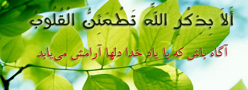 <p>یا ثار الله و ابن ثاره</p>